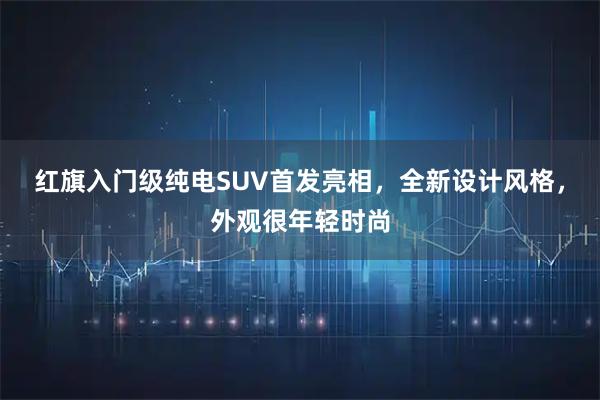 红旗入门级纯电SUV首发亮相，全新设计风格，外观很年轻时尚