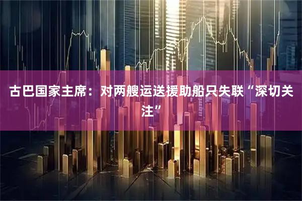 古巴国家主席：对两艘运送援助船只失联“深切关注”