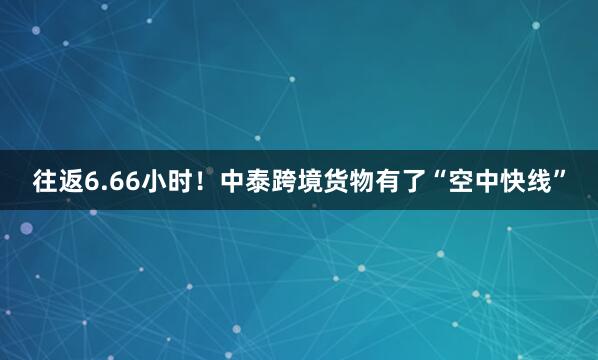 往返6.66小时！中泰跨境货物有了“空中快线”