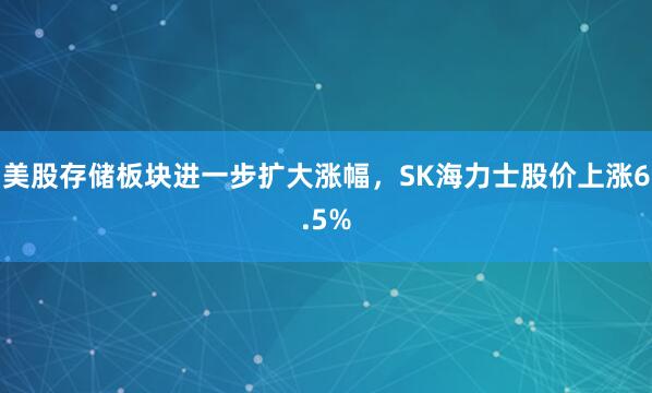 美股存储板块进一步扩大涨幅，SK海力士股价上涨6.5%